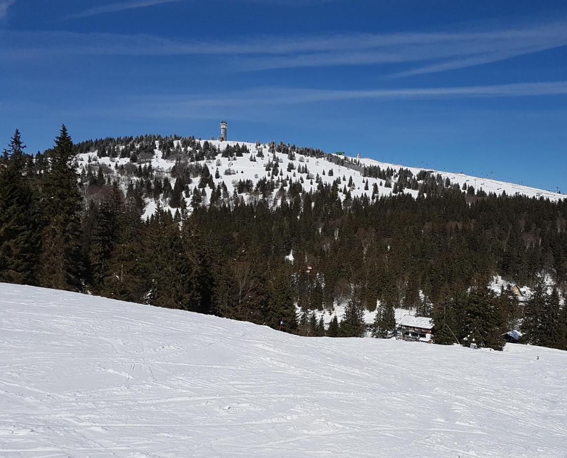 Enjoy Ferienwohnung Feldberg Grafenmatt Buitenkant foto