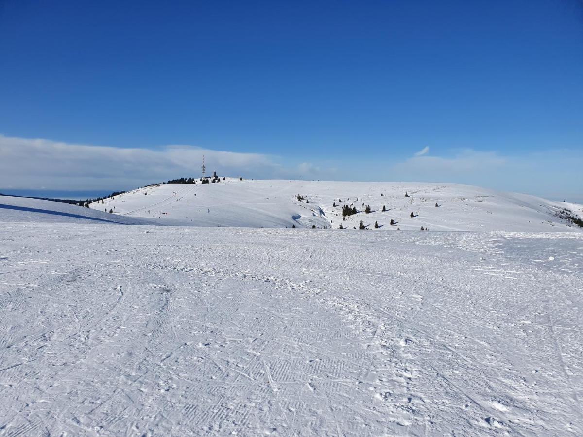 Enjoy Ferienwohnung Feldberg Grafenmatt Buitenkant foto